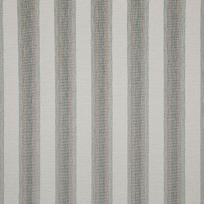 Pindler BENSON SAGE Fabric