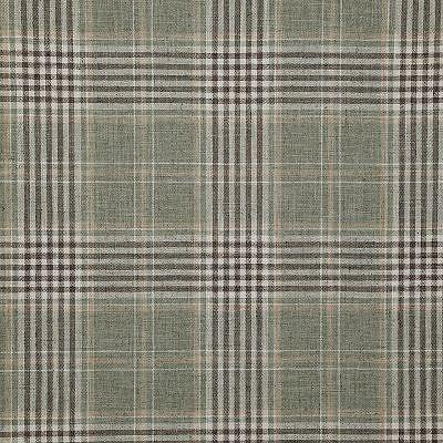 Pindler MORTON CACTUS Fabric