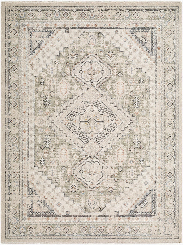Livabliss Lausanne LNN-2301 7'10" x 10' Machine Woven Rug