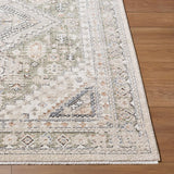 Livabliss Lausanne LNN-2301 6'7" x 9' Machine Woven Rug
