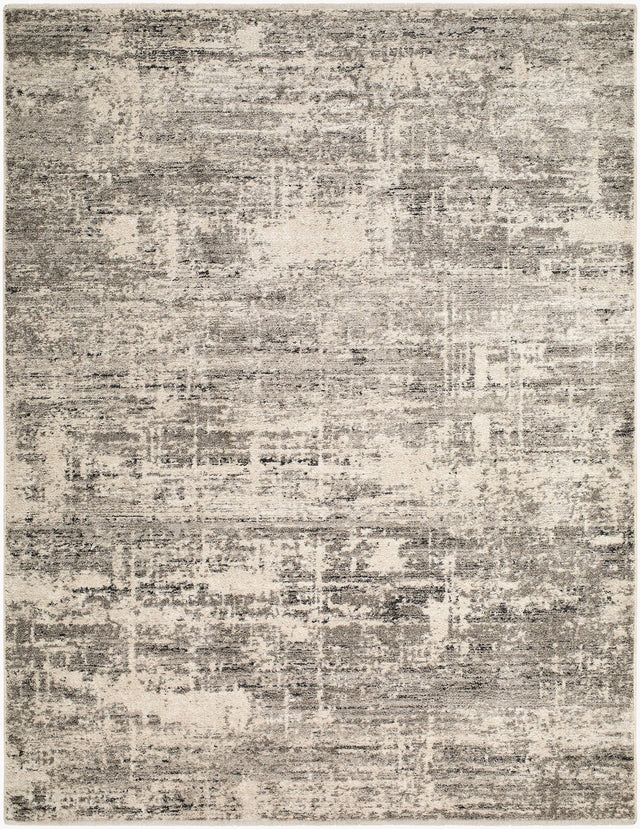 Livabliss Lausanne LNN-2305 5'3" x 7' Machine Woven Rug
