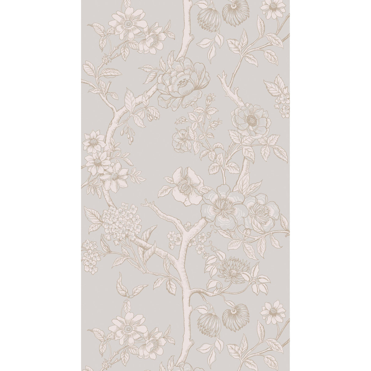 Cole & Son PARADISE TREE DOVE GREY Wallpaper