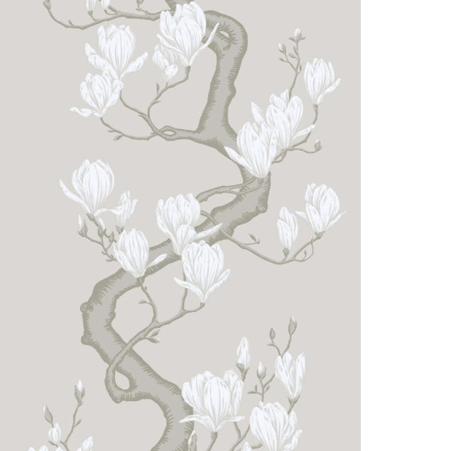 Cole & Son MAGNOLIA TREE NON SLUB Wallpaper