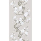Cole & Son MAGNOLIA TREE NON SLUB Wallpaper