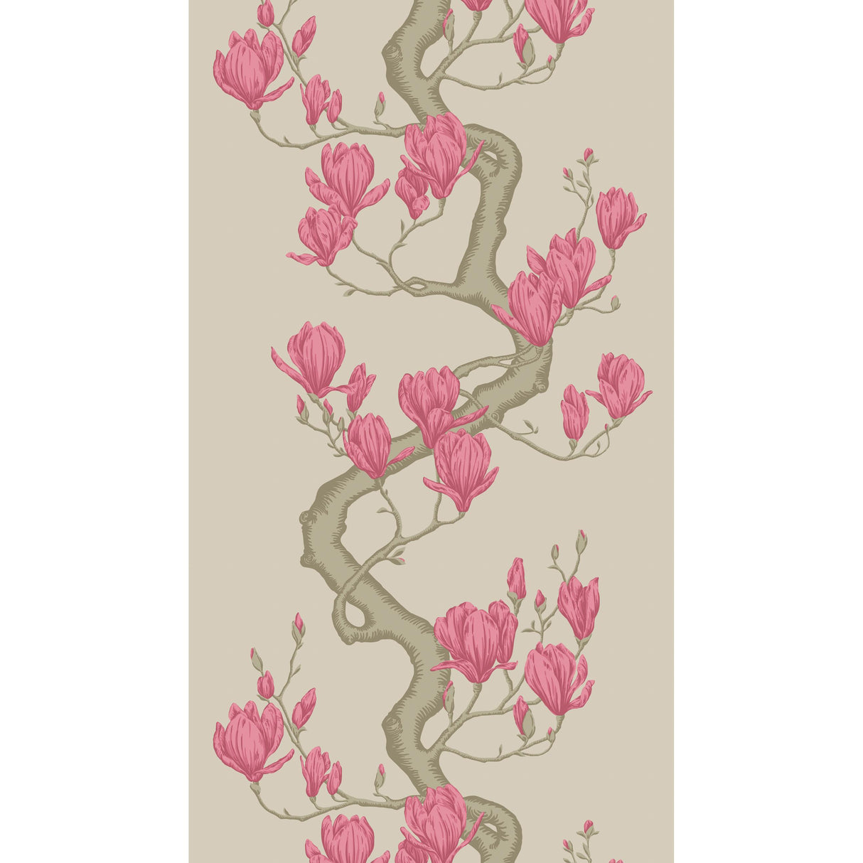 Cole & Son MAGNOLIA TREE MAGENTA Wallpaper