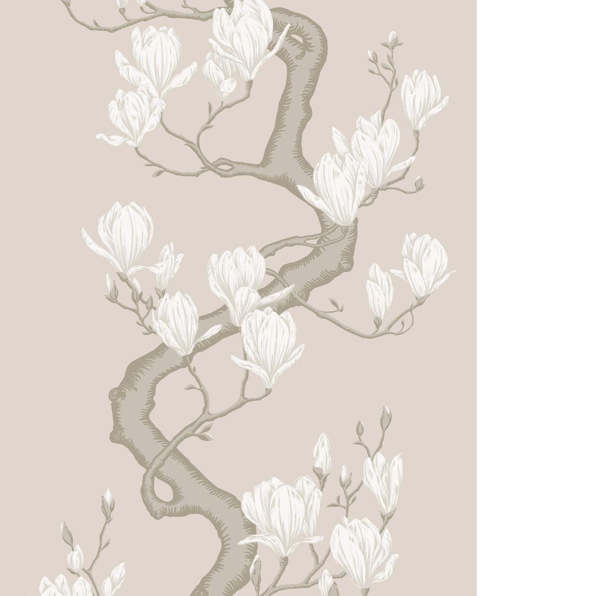 Cole & Son MAGNOLIA TREE SOFT CREAM Wallpaper