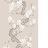 Cole & Son MAGNOLIA TREE SOFT CREAM Wallpaper