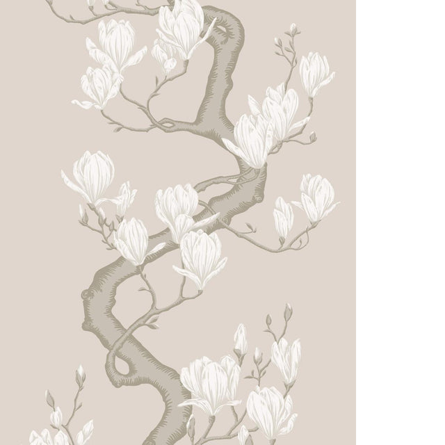 Cole & Son MAGNOLIA TREE SOFT CREAM Wallpaper