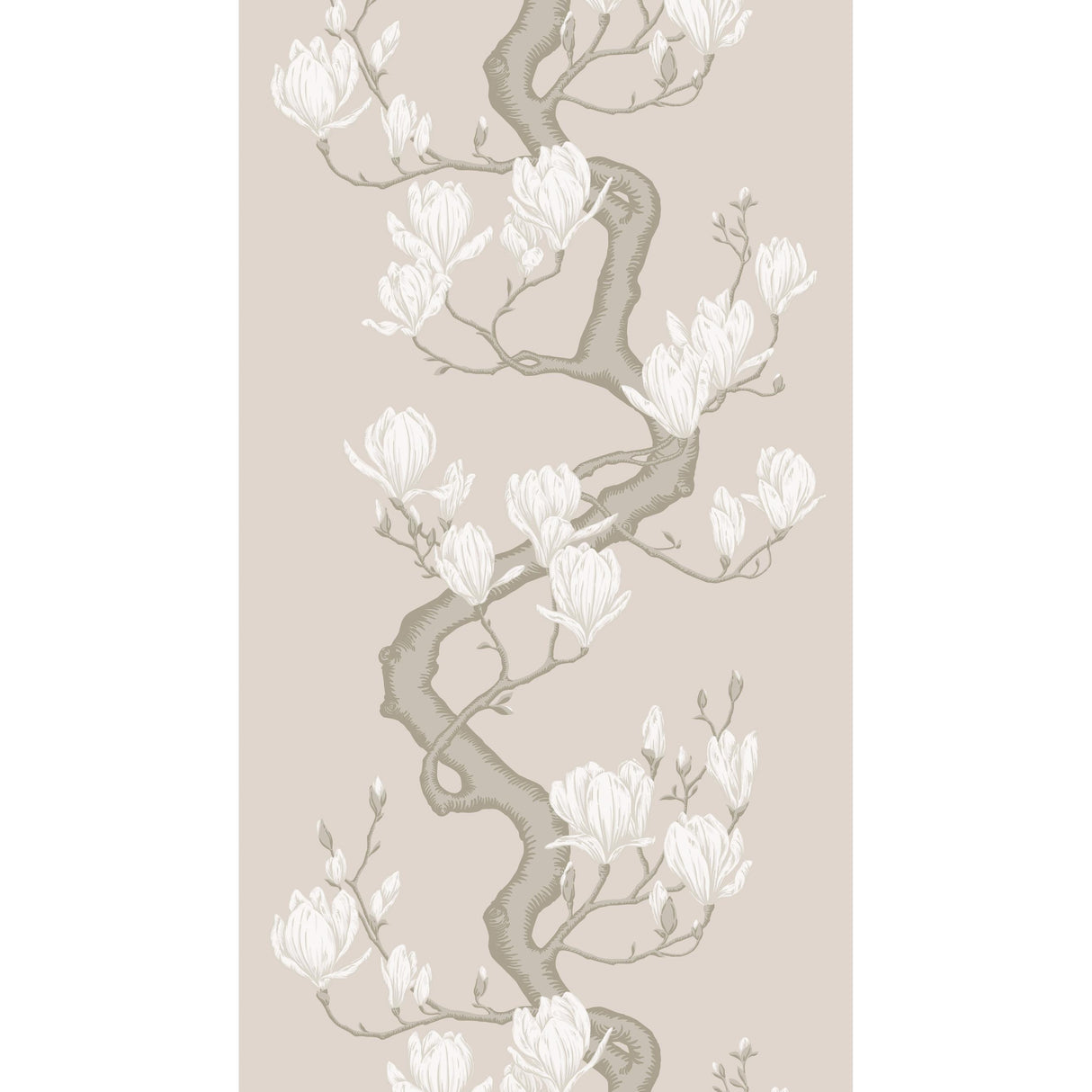 Cole & Son MAGNOLIA TREE SOFT CREAM Wallpaper