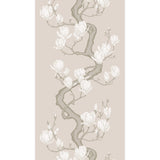 Cole & Son MAGNOLIA TREE SOFT CREAM Wallpaper