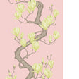 Cole & Son MAGNOLIA TREE ROSE PINK Wallpaper