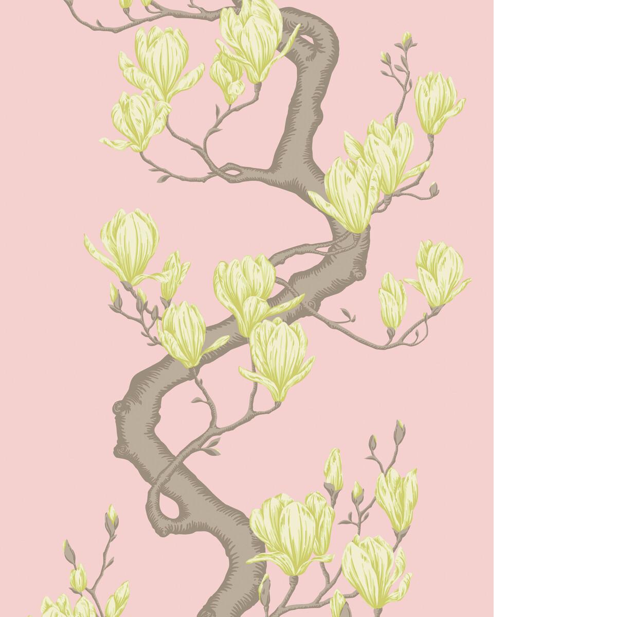Cole & Son MAGNOLIA TREE ROSE PINK Wallpaper