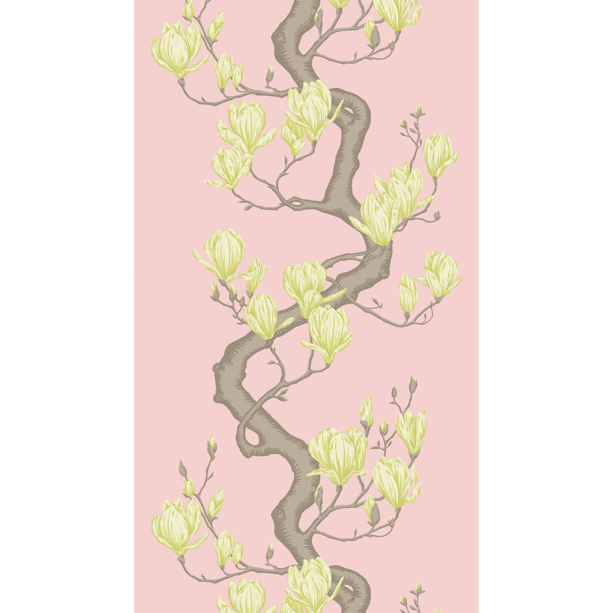 Cole & Son MAGNOLIA TREE ROSE PINK Wallpaper