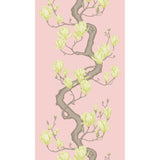 Cole & Son MAGNOLIA TREE ROSE PINK Wallpaper