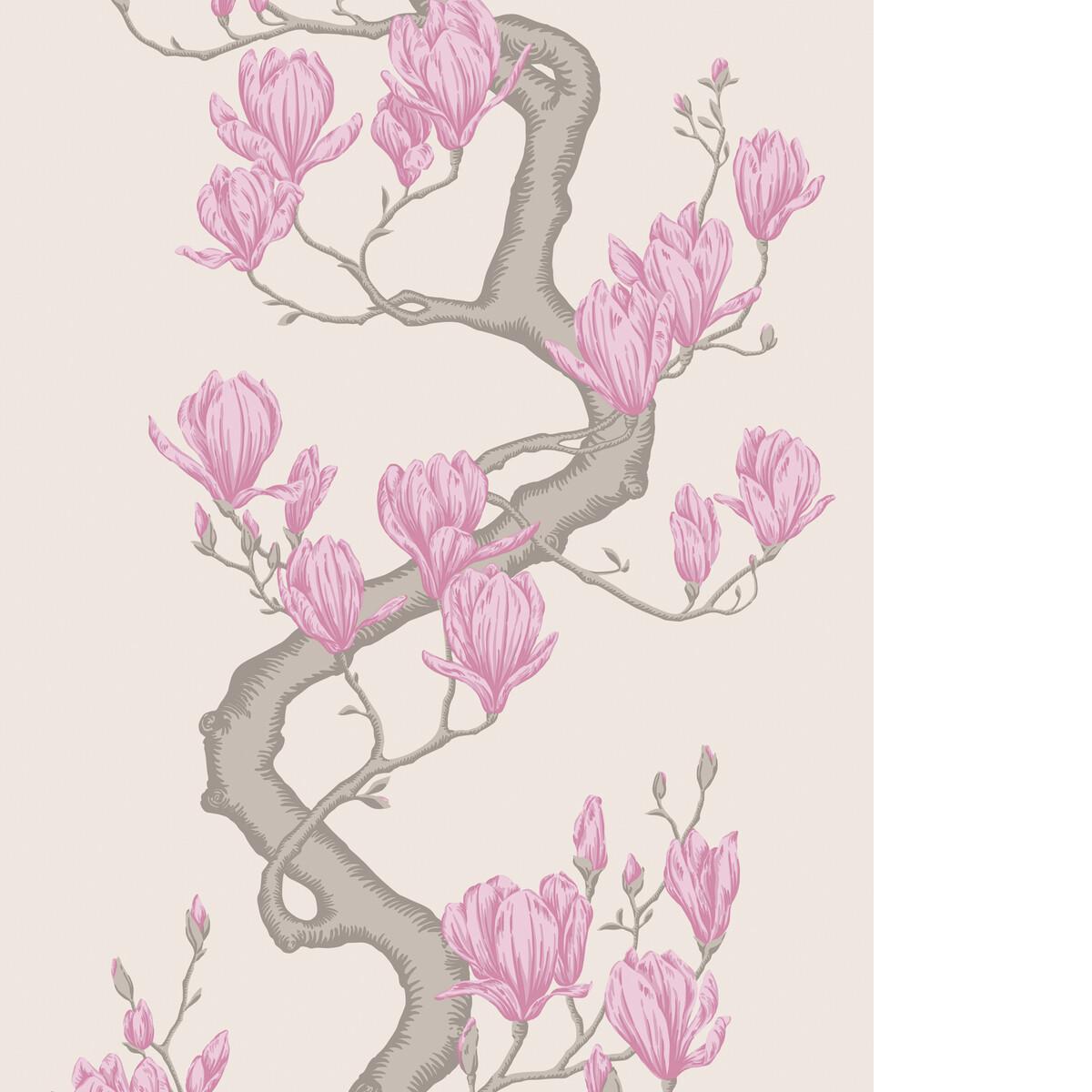 Cole & Son MAGNOLIA TREE PARCHMENT Wallpaper