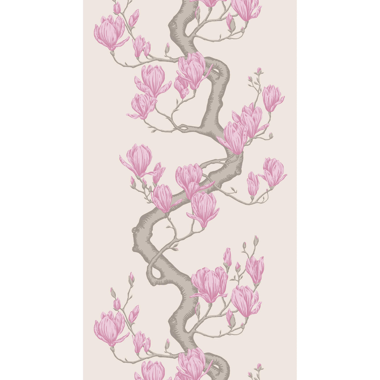 Cole & Son MAGNOLIA TREE PARCHMENT Wallpaper