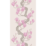 Cole & Son MAGNOLIA TREE PARCHMENT Wallpaper