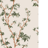 Cole & Son CHINESE BRANCH LEAF GREEN Wallpaper