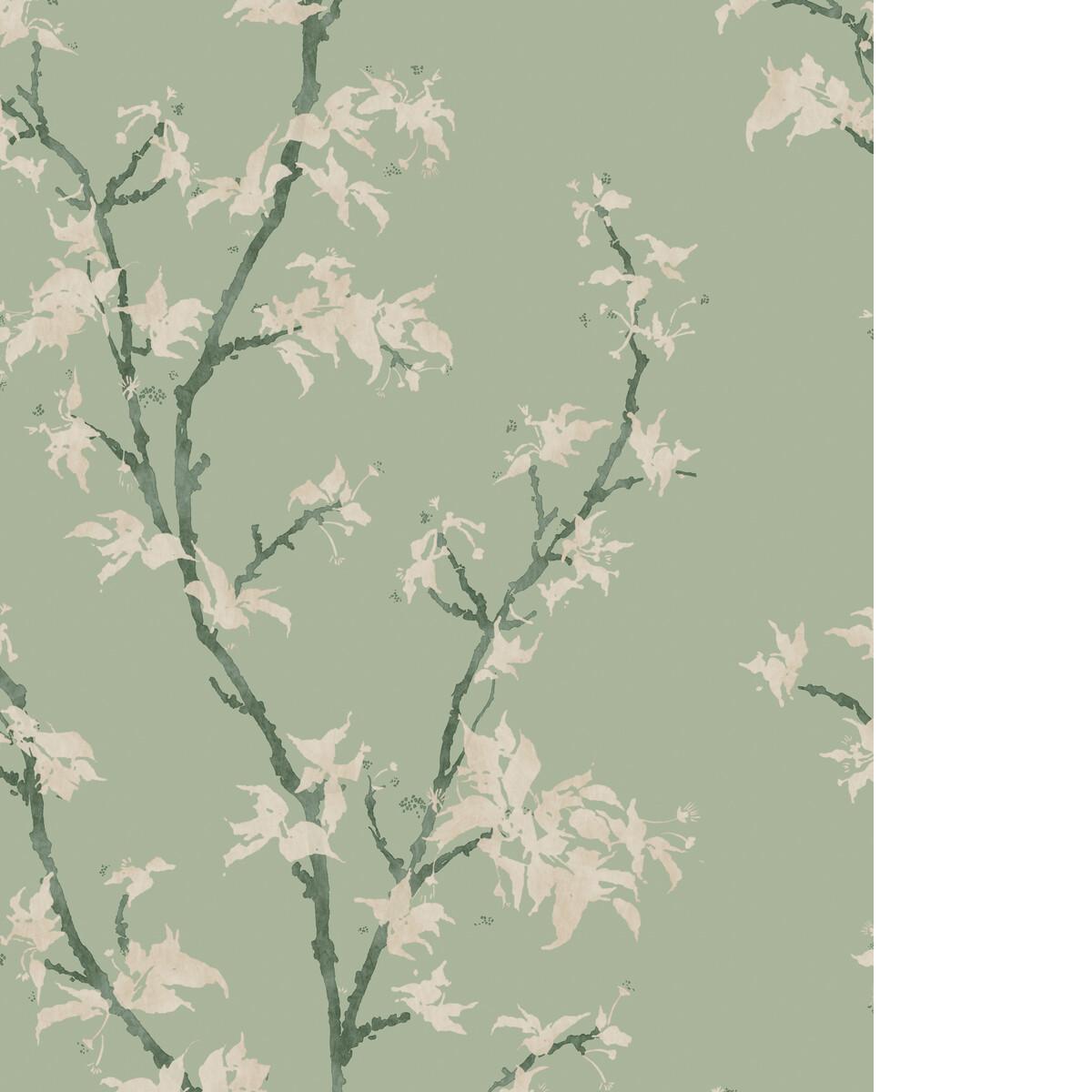 Cole & Son CHINESE BRANCH SAGE Wallpaper