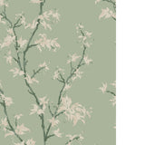 Cole & Son CHINESE BRANCH SAGE Wallpaper