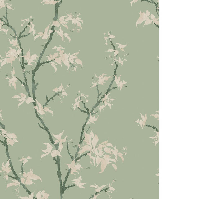 Cole & Son CHINESE BRANCH SAGE Wallpaper