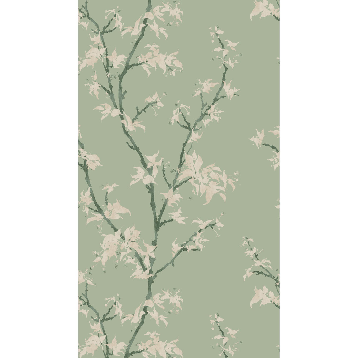 Cole & Son CHINESE BRANCH SAGE Wallpaper