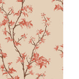 Cole & Son CHINESE BRANCH GINGER Wallpaper