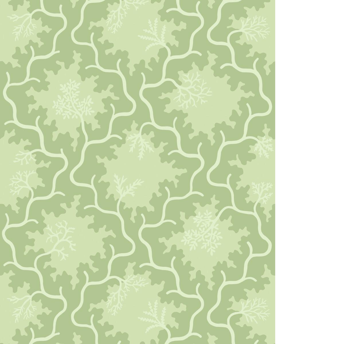 Cole & Son MOSS TRELLIS MATCHA Wallpaper