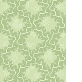Cole & Son MOSS TRELLIS MATCHA Wallpaper