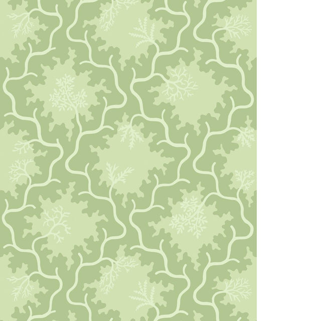Cole & Son MOSS TRELLIS MATCHA Wallpaper
