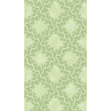 Cole & Son MOSS TRELLIS MATCHA Wallpaper