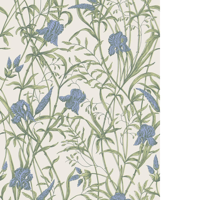 Cole & Son IRIS IRIS BLUE ON STONE Wallpaper