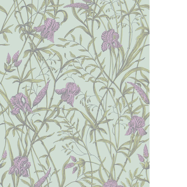 Cole & Son IRIS LAVENDER ON DUCK EGG Wallpaper