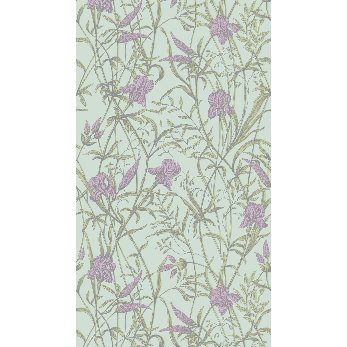 Cole & Son IRIS LAVENDER ON DUCK EGG Wallpaper
