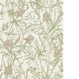 Cole & Son IRIS SOFT CORAL ON CHALK Wallpaper