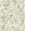 Cole & Son IRIS SOFT CORAL ON CHALK Wallpaper