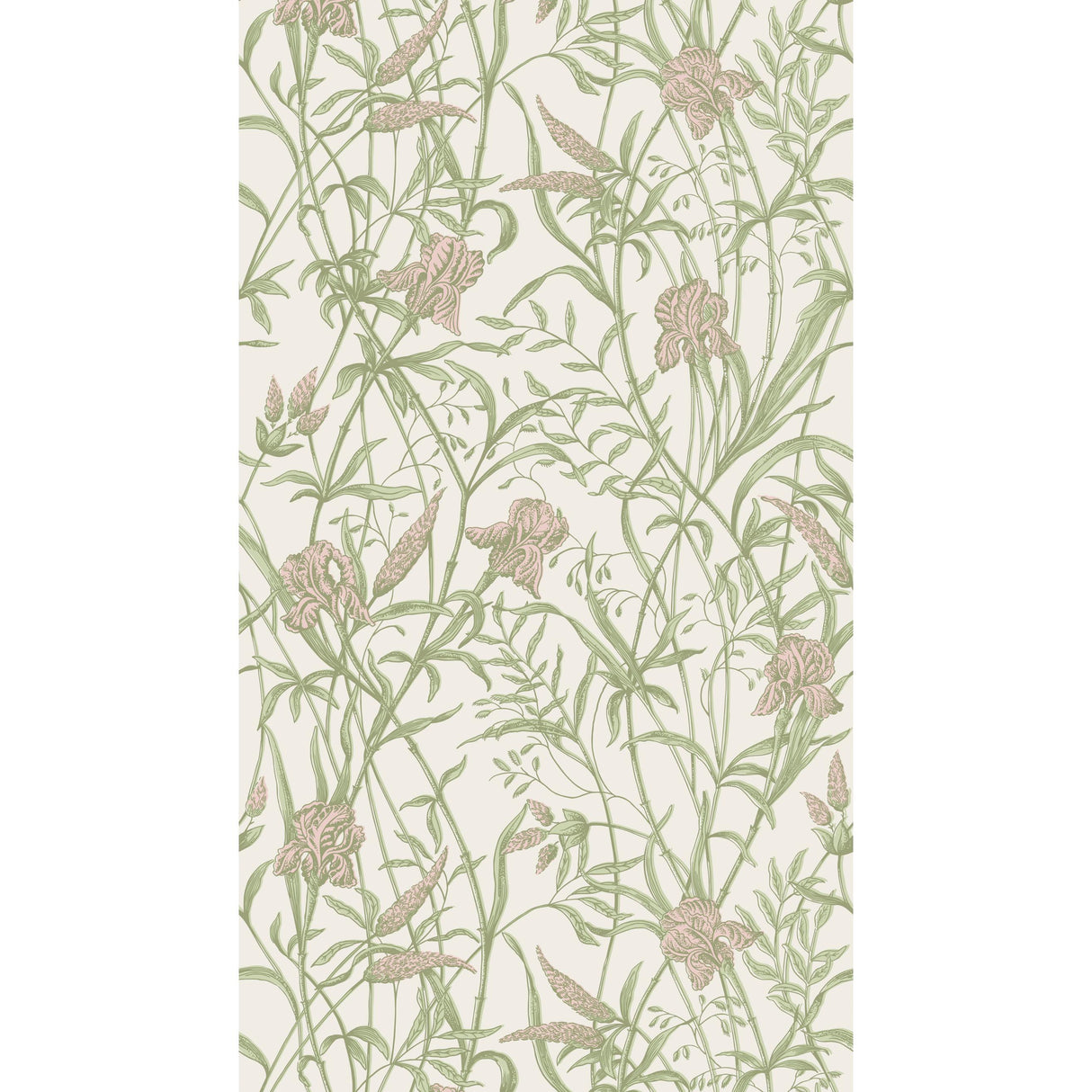 Cole & Son IRIS SOFT CORAL ON CHALK Wallpaper