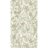 Cole & Son IRIS SOFT CORAL ON CHALK Wallpaper