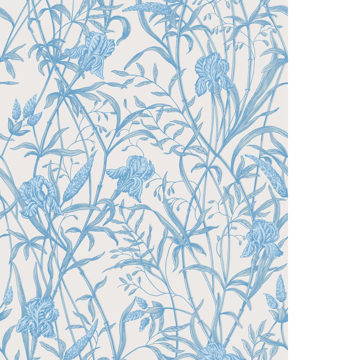 Cole & Son IRIS SOFT CERULEAN Wallpaper
