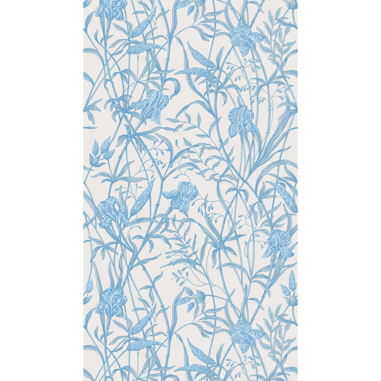 Cole & Son IRIS SOFT CERULEAN Wallpaper