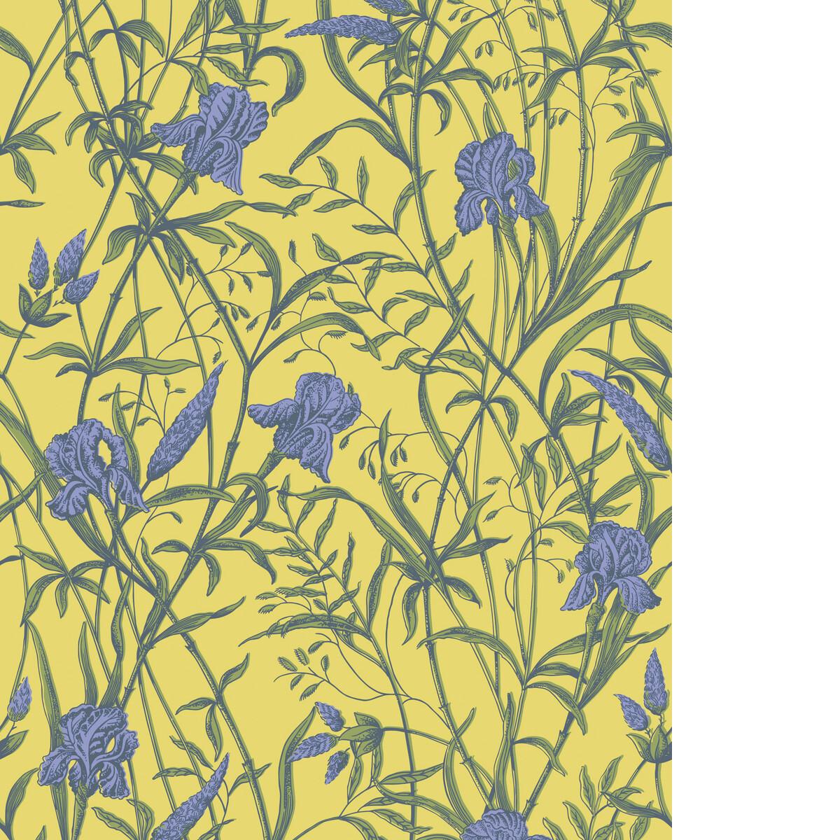 Cole & Son IRIS VIOLET ON CITRINE Wallpaper