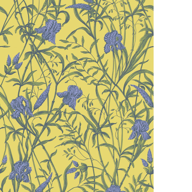 Cole & Son IRIS VIOLET ON CITRINE Wallpaper
