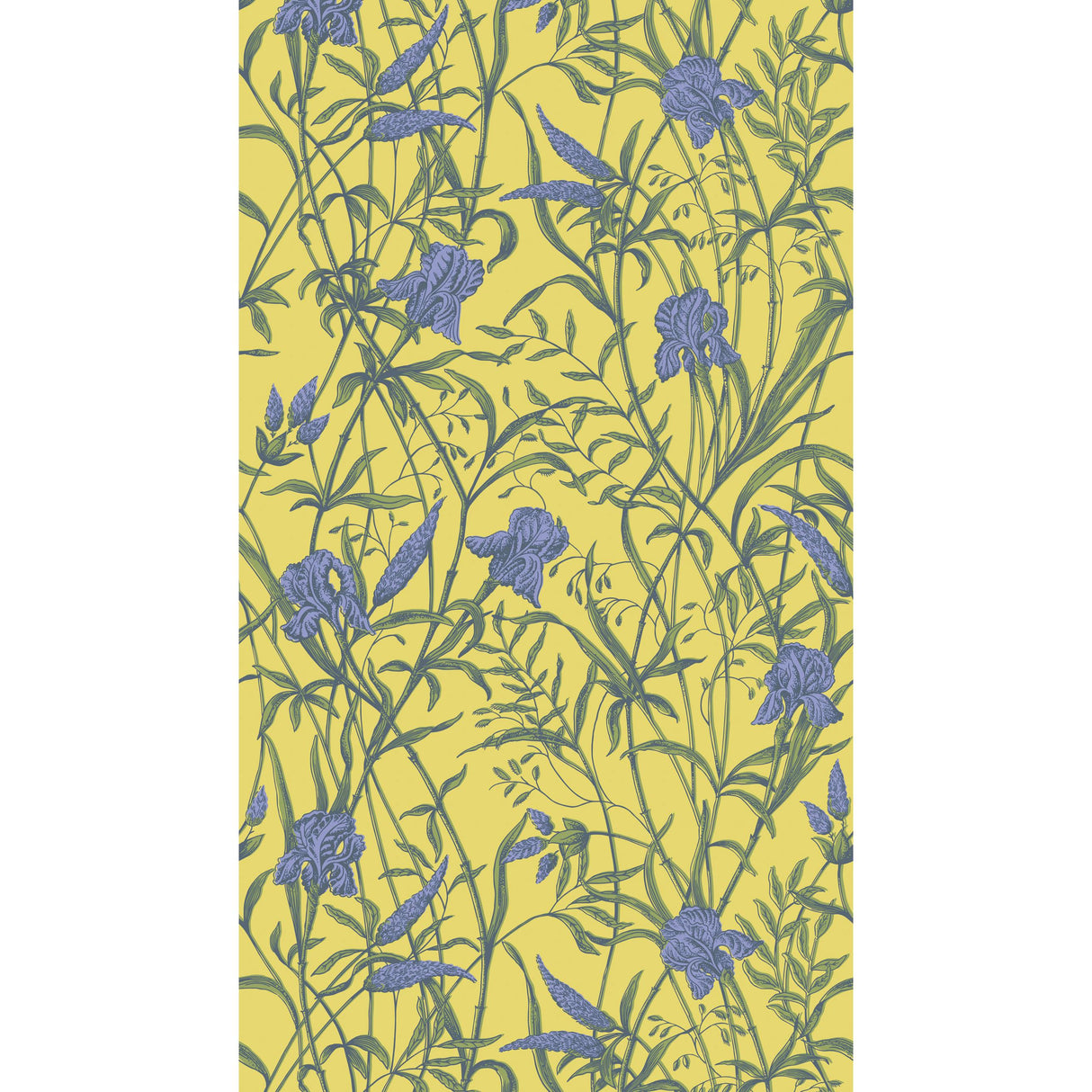 Cole & Son IRIS VIOLET ON CITRINE Wallpaper