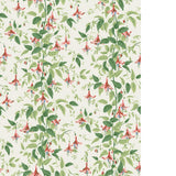 Cole & Son FUSCHIA ROSE PINK Wallpaper