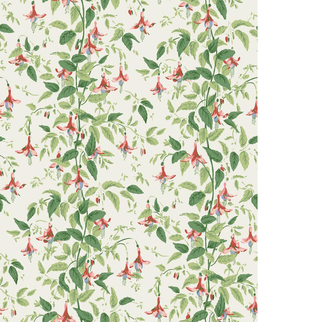 Cole & Son FUSCHIA ROSE PINK Wallpaper