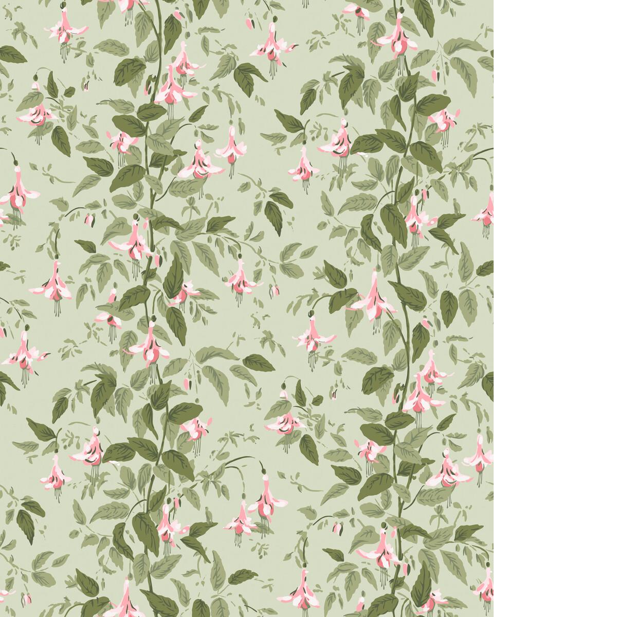 Cole & Son FUSCHIA POWDER PINK Wallpaper