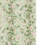 Cole & Son FUSCHIA POWDER PINK Wallpaper