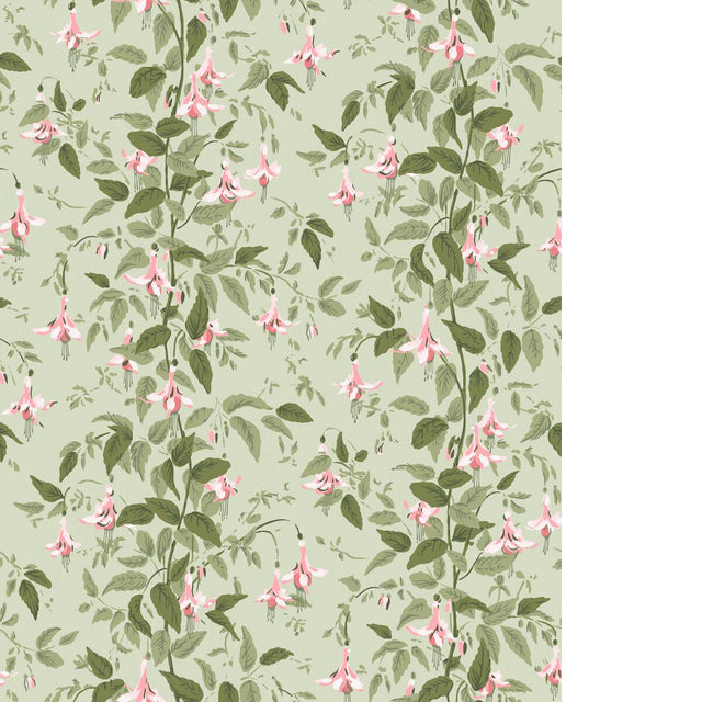 Cole & Son FUSCHIA POWDER PINK Wallpaper