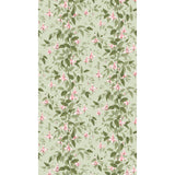 Cole & Son FUSCHIA POWDER PINK Wallpaper