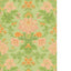 Cole & Son POPPIES PEACH Wallpaper